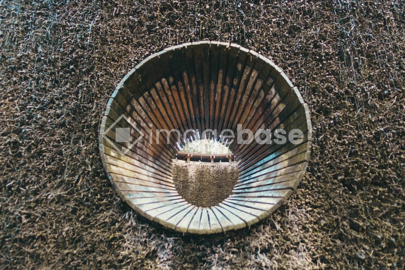 Circular Wooden Structure