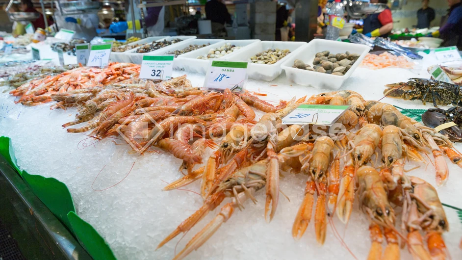 Seafood Market Display