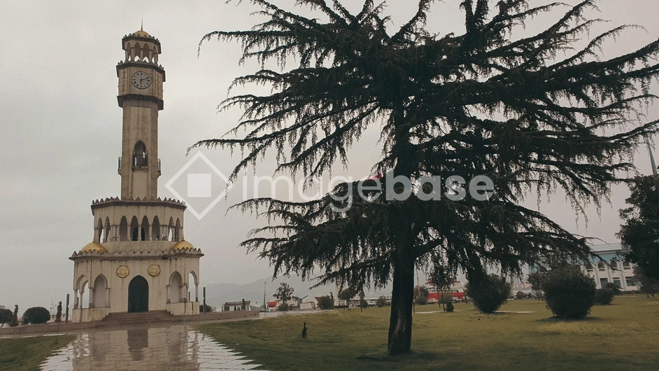 Historic Tower and Tree