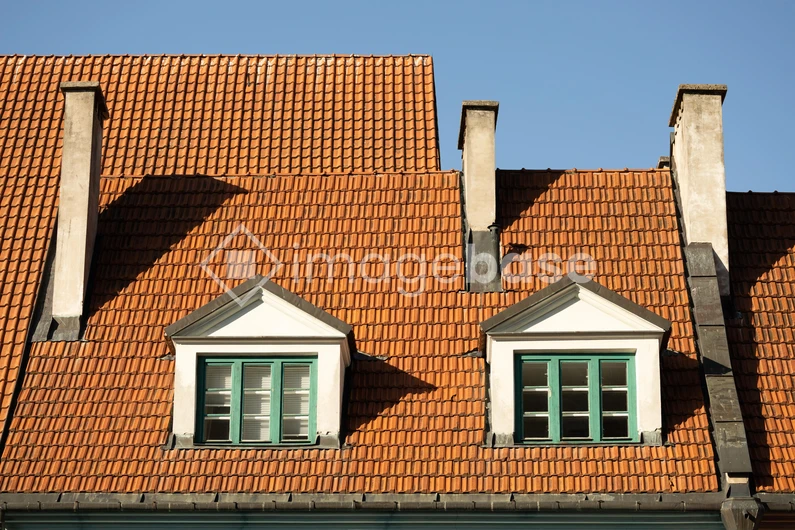 Historic Rooftop Architecture