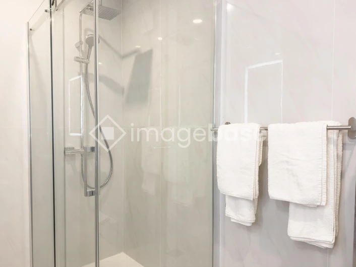 Modern Shower Enclosure