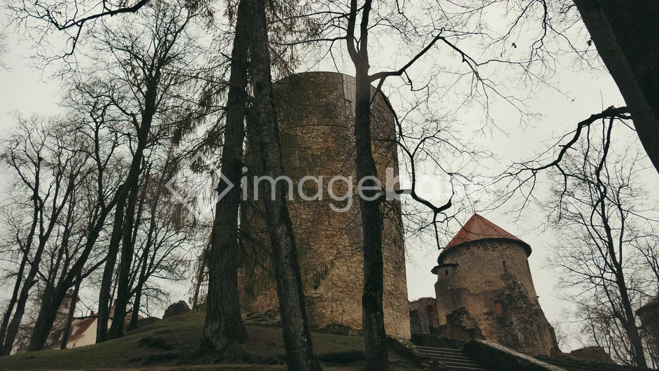 Ancient Tower and Trees