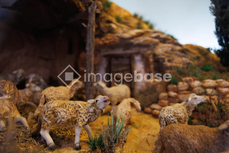 Rustic Sheep Scene