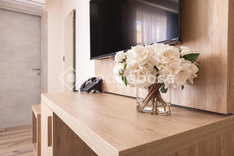 Modern Living Room Decor