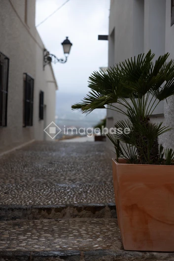 Charming Cobblestone Alley