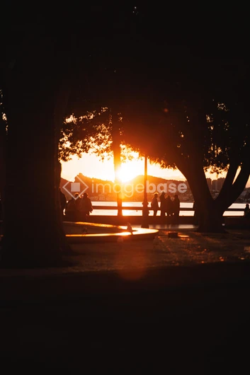 Sunset Gathering by the Water