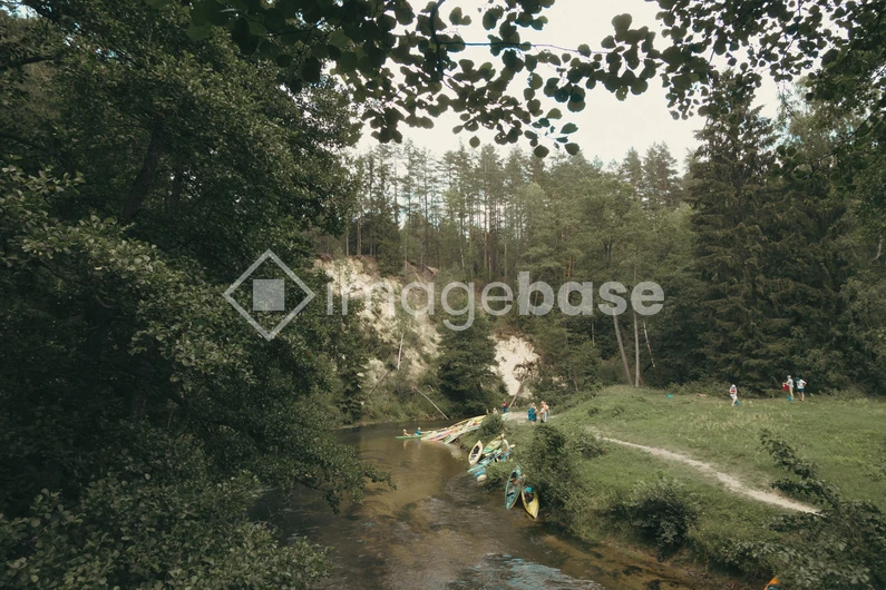 Kayaking Adventure in Forest Stream