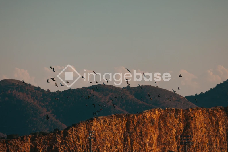 Birds Over Mountain Ridge