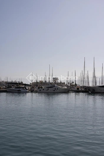 Serene Marina View