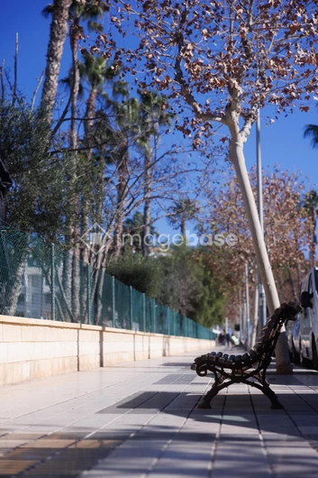 Peaceful Urban Bench