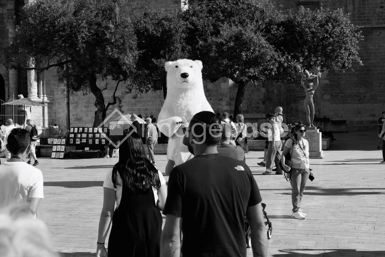 Unusual Street Scene