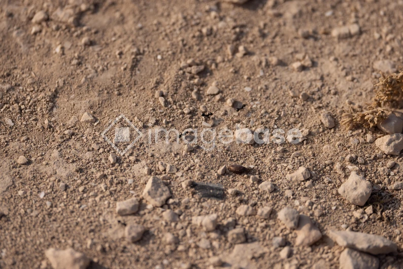 Rugged Terrain Texture