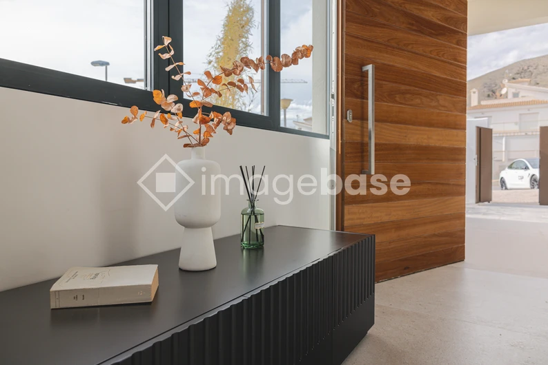 Modern Entryway Design