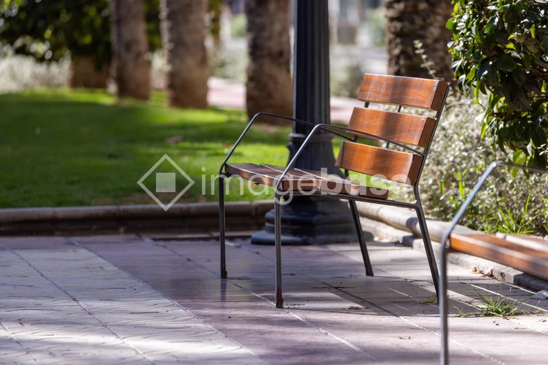 Park Bench in Sunlit Pathway