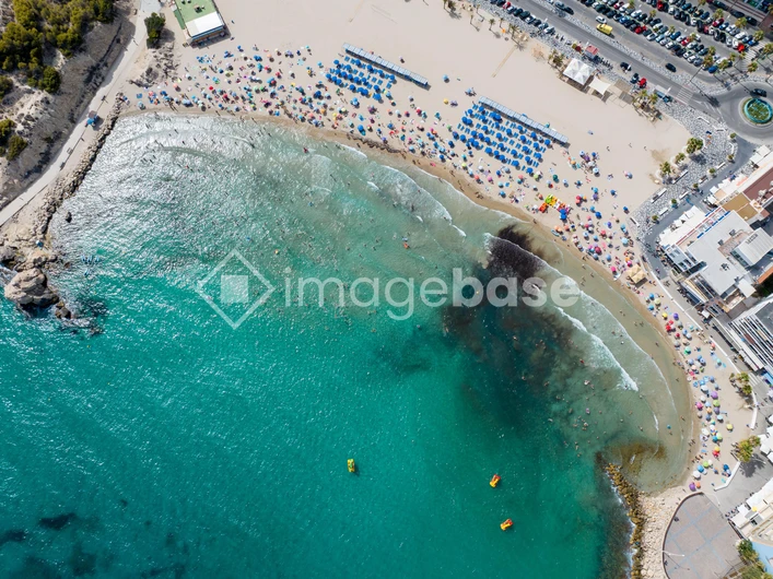 Aerial View of a Beach