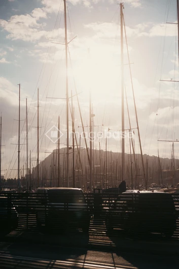 Sunlit Marina with Masts