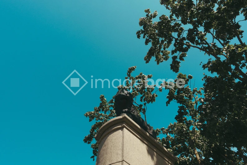 Statue and Trees Under Blue Sky