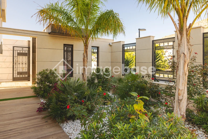Modern Garden Oasis