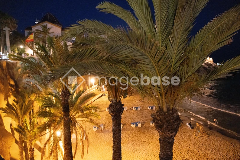 Night Beach Scene with Palm Trees