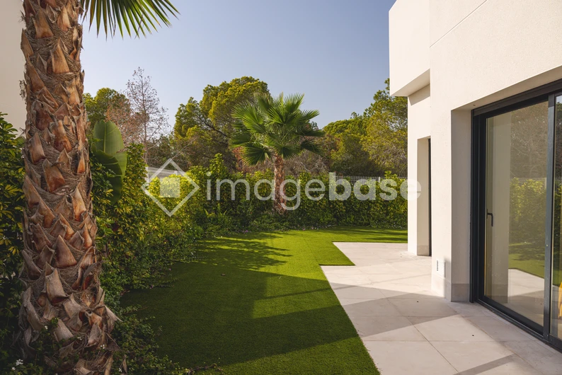 Modern Patio with Lush Greenery
