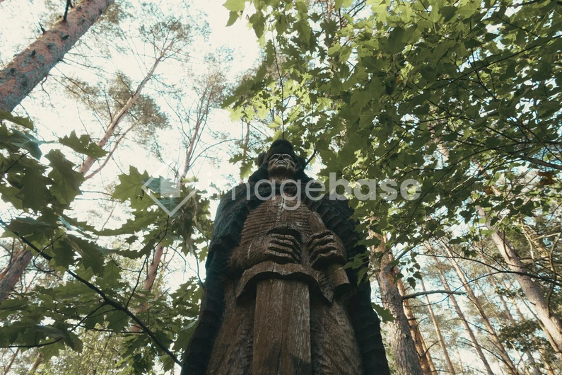 Forest Statue Amidst Trees