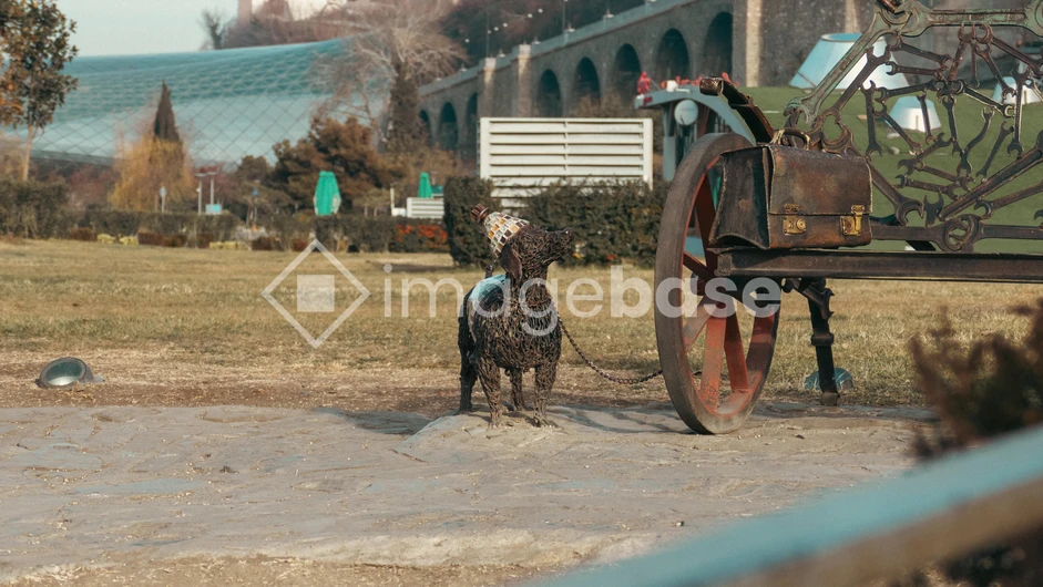 Dog and Carriage in Park