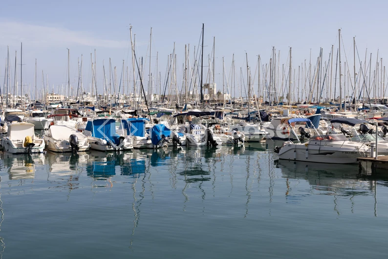 Marina with Boats
