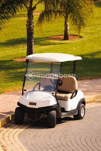Golf Cart by Palm Trees
