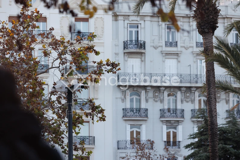 Elegant City Architecture