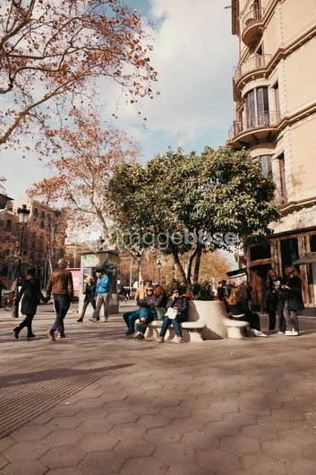 Street Corner in Autumn