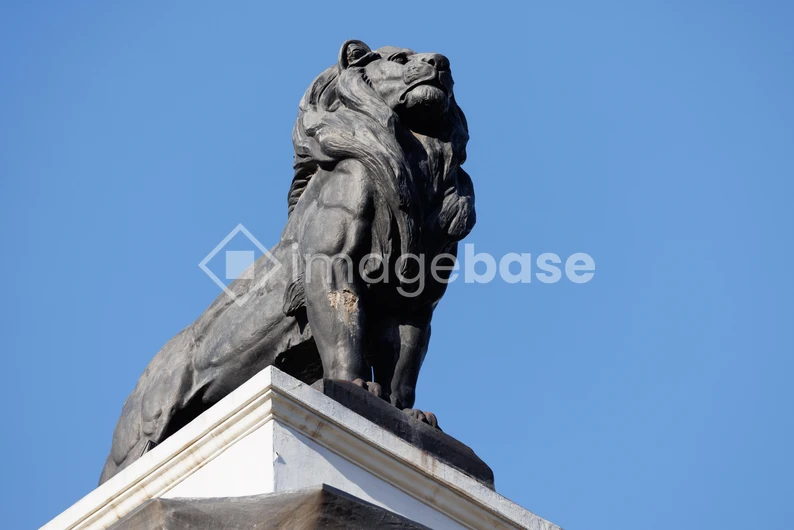Majestic Lion Statue