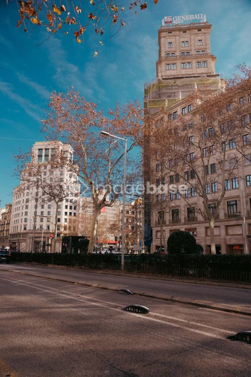 Urban Streetscape