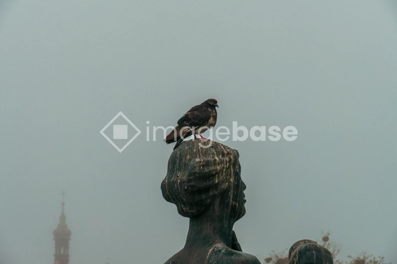 Bird on a Statue