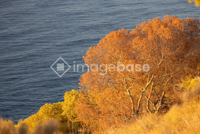 Autumn Coastline View