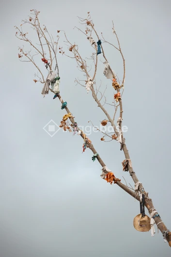 Tree with Adornments Against Grey Sky