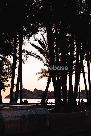 Serene Sunset by the Beach