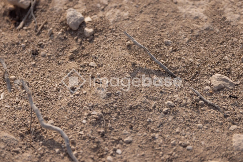 Earthy Textures