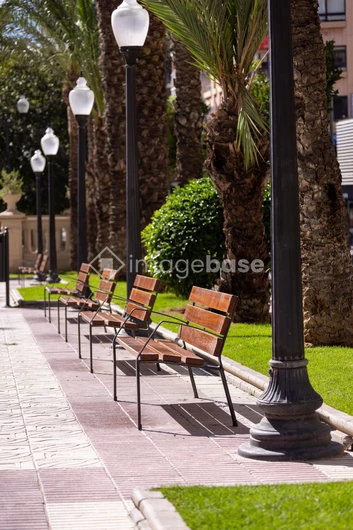 Peaceful Park Pathway