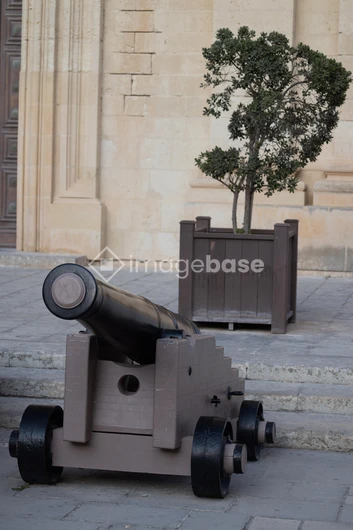 Historic Cannon Display