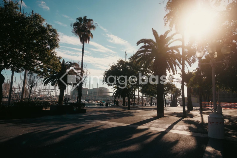 Sunny Urban Oasis
