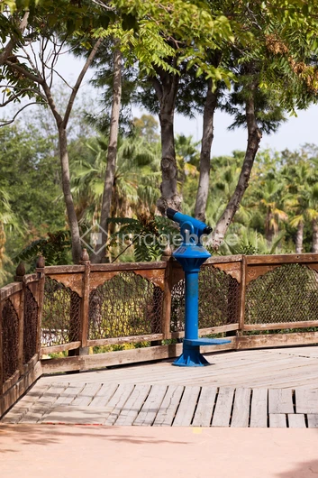 Tropical Viewing Deck
