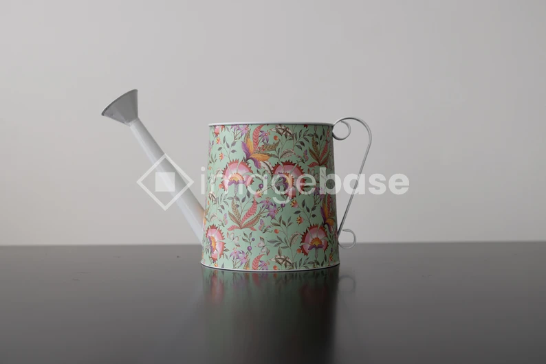 Decorative Watering Can