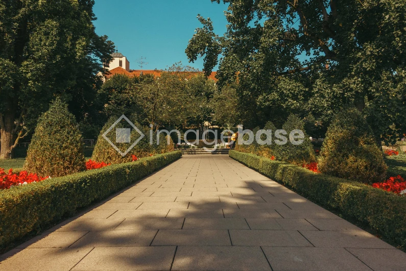 Charming Garden Pathway