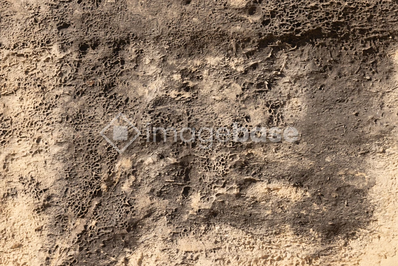 Rugged Stone Texture