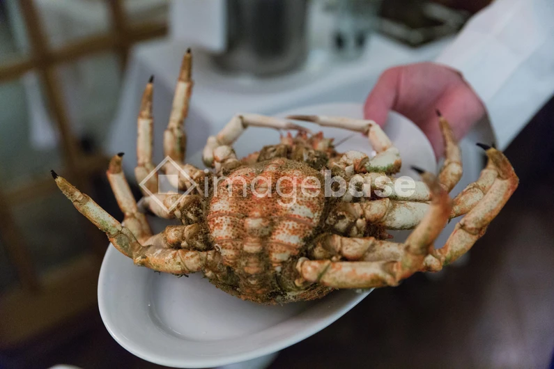 Crab Served on a Plate