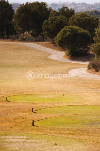 Serene Golf Course Landscape