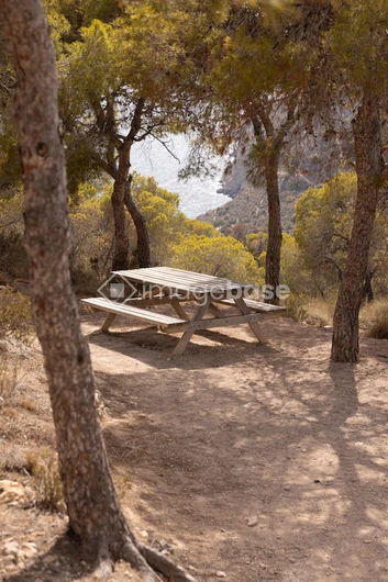 Scenic Picnic Spot