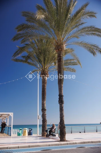 Relaxing Beachfront Stroll