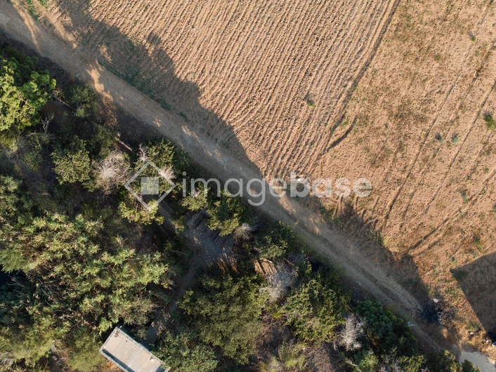 Aerial View of Fields and Forest