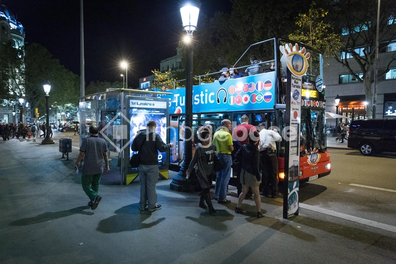 Night Bus Tour